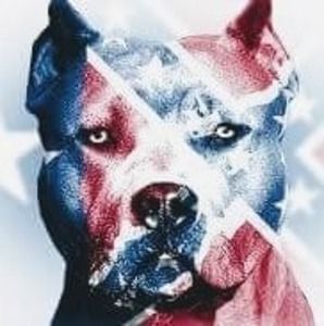 Meet your Posher, Timothy